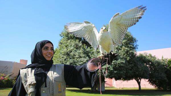 Bird trainers, vets: Emirati women hold rare jobs in UAE wildlife conservation