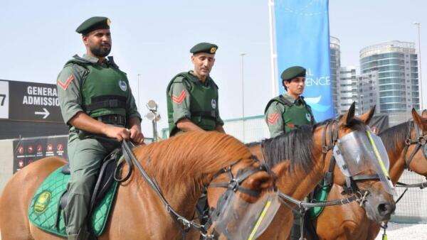 Horse riding classes, parades: 6 paid services offered by Dubai Mounted Police